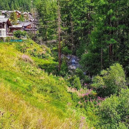 Apartment Nirwana By Interhome